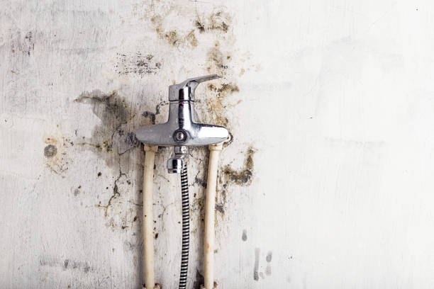 Home Mold Removal in Searcy, AR