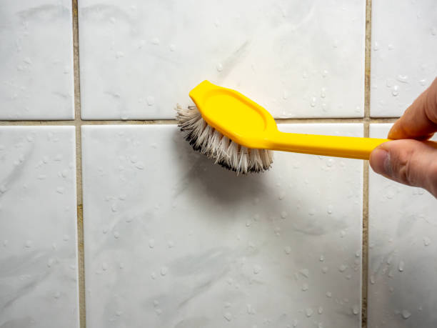 Best Certified Mold Removal  in Secy, AR