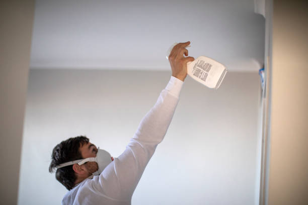 Best Residential Mold Removal  in Secy, AR