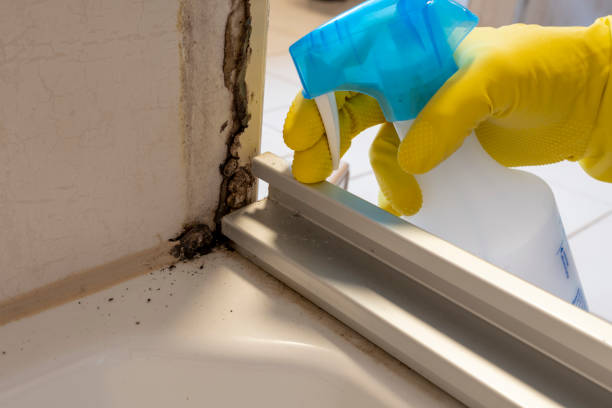 Certified Mold Removal in Searcy, AR