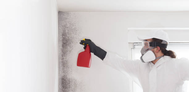 Best Crawl Space Mold Removal  in Secy, AR