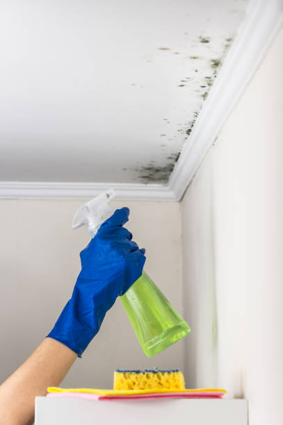 Best Emergency Mold Removal  in Secy, AR